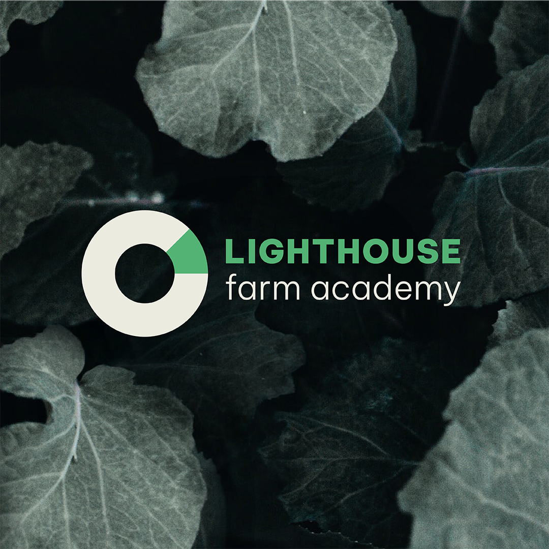 Lighthouse fam academy 2